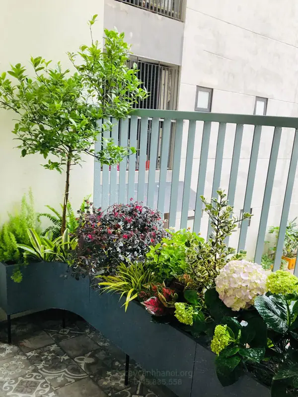 Ý Nghĩa Phong Thủy Sâu Sắc Của Ban Công Hướng Đông