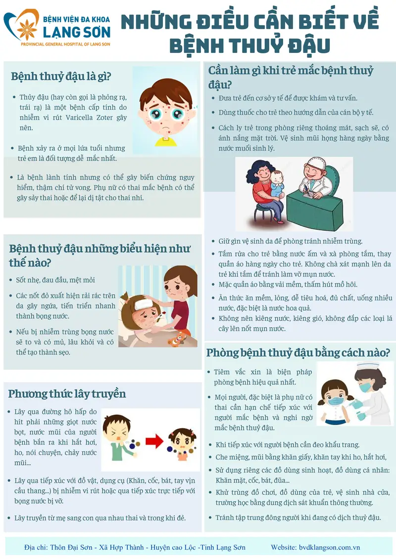 Ứng Dụng Thực Tế Các Trường Phái Phong Thủy
