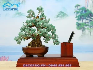 Giới Thiệu Cây Tài Lộc Phong Thủy