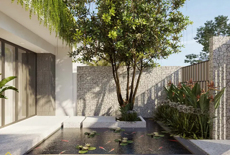 Cây trước cửa nhà - Chọn cây trồng trước cửa nhà hợp phong thủy