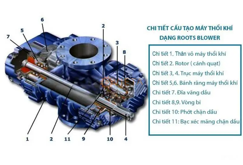 Cột Là Gì? Cấu Tạo, Phân Loại Và Vai Trò Trong Công Trình 2 Cột là gì - 2. Cấu Tạo Chi Tiết & Nguyên Lý Kỹ Thuật