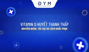 Cửa nhà thấp hơn đường - Nguyên nhân và Tác hại nhà thấp hơn đường