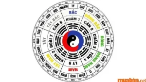 Cung Khôn là gì và đặc điểm chung?