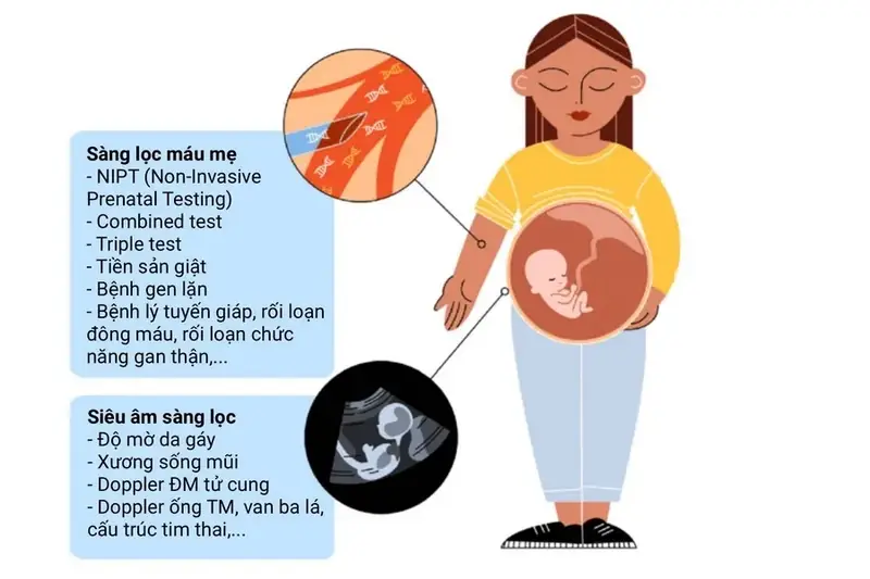 Cung ly là gì - Tuổi Thuộc Cung Ly: Xác Định và Ý Nghĩa