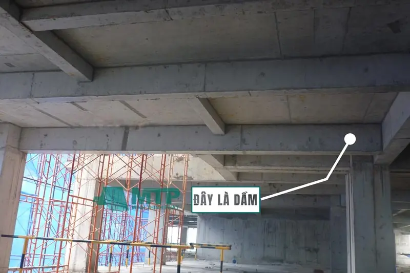 Dầm chính và dầm phụ khác nhau - Khái Niệm và Vai Trò Cốt Lõi Của Dầm Chính Và Dầm