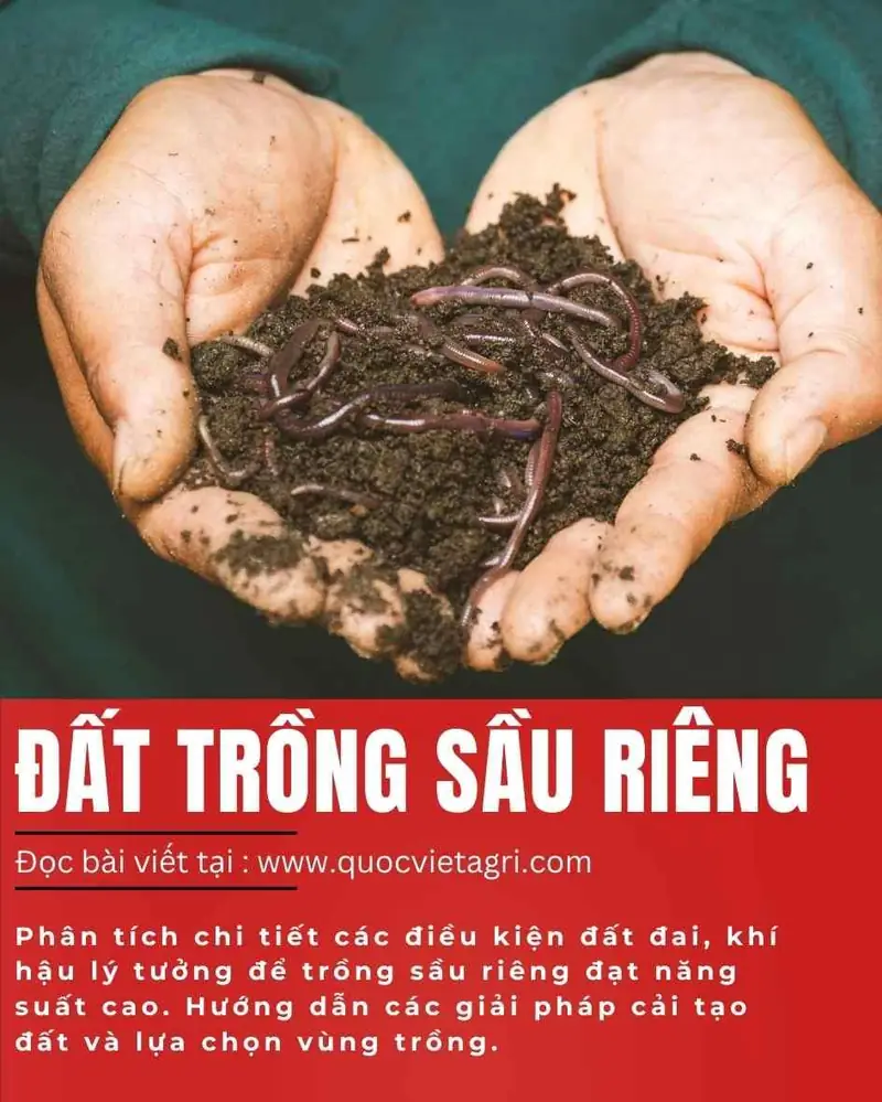 Biện Pháp Hóa Giải Đất Trước Cao Sau Thấp