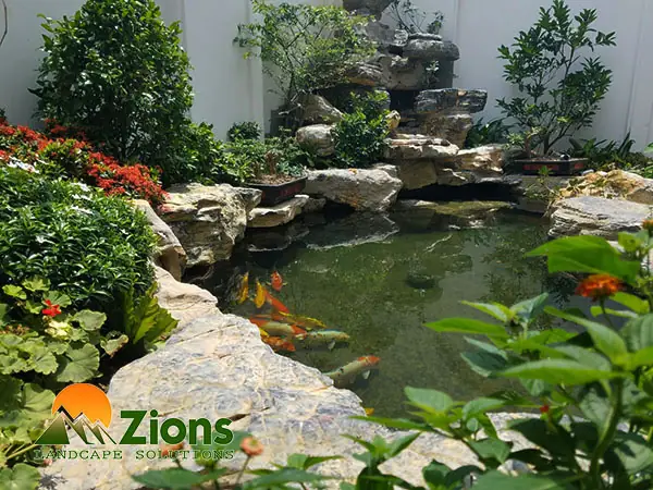 Ý nghĩa hồ cá Koi phong thủy