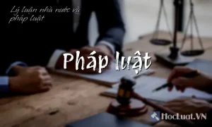 Học phong thủy cơ bản - Phong Thủy Cơ Bản: Nguồn Gốc và Bản Chất