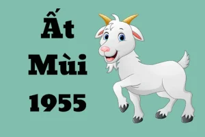 Hướng nhà tuổi ất mùi - Tuổi Ất Mùi 1955: Cung mệnh và đặc điểm