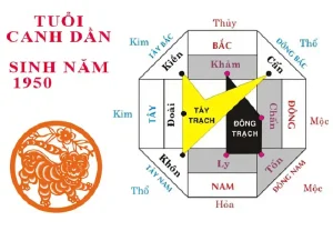 Hướng nhà tuổi canh dần - Tổng quan tuổi Canh Dần và phong thủy nhà ở