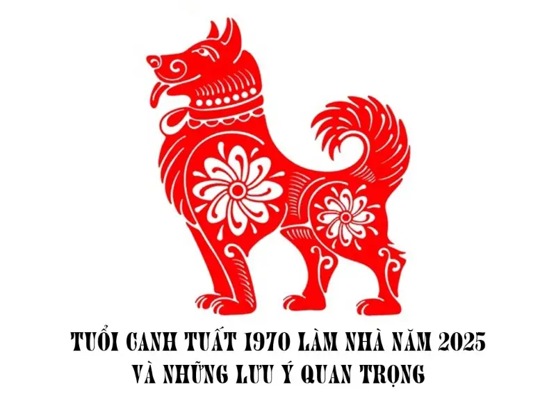 Chọn Hướng Nhà Tuổi Canh Tuất 2026 Để Vạn Sự Hanh Thông 2 Hướng nhà tuổi canh tuất - Bảng hướng hợp và kỵ cho tuổi Canh Tuất