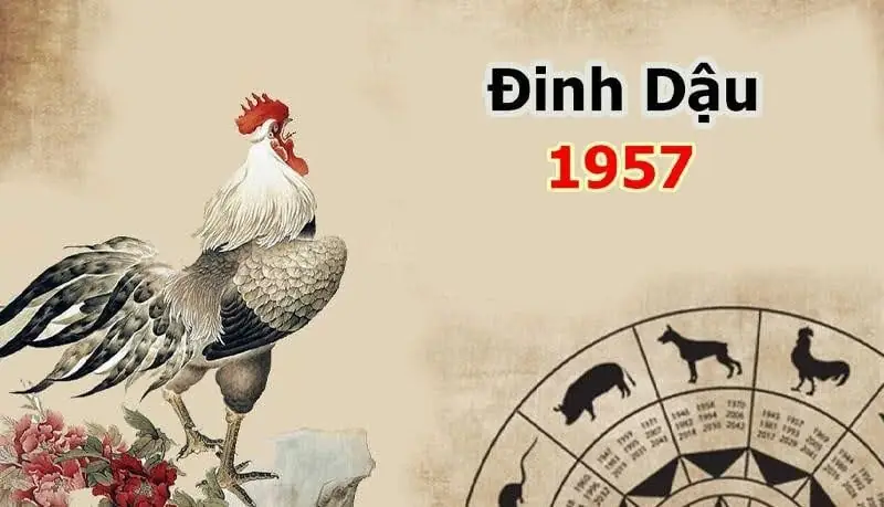 Hướng nhà tuổi đinh dậu - Hướng nhà tốt cho tuổi Đinh Dậu