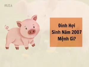 Hướng nhà tuổi đinh hợi - Xác định mệnh và cung phi tuổi Đinh Hợi