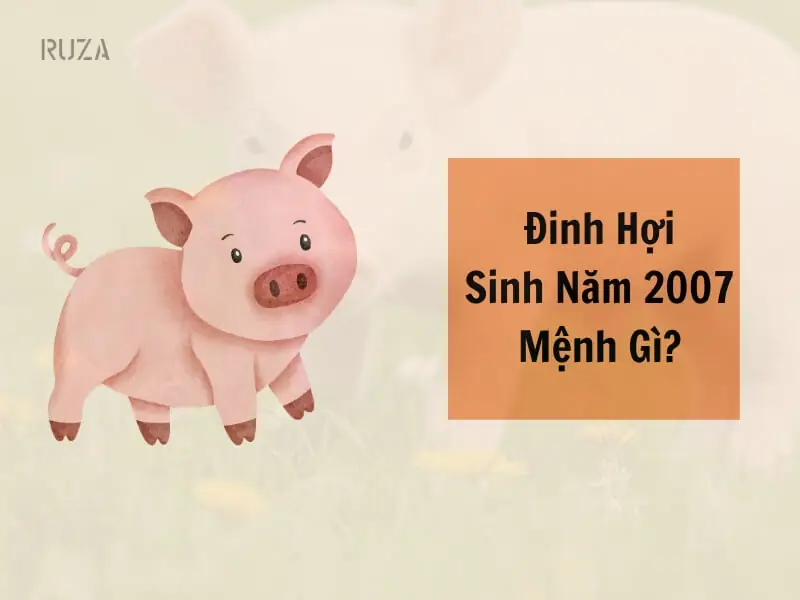 Hướng nhà tuổi đinh hợi - Xác định mệnh và cung phi tuổi Đinh Hợi