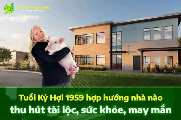 Hướng nhà tuổi kỷ hợi - Tuổi Kỷ Hợi hợp hướng nào để thu hút tài lộc?