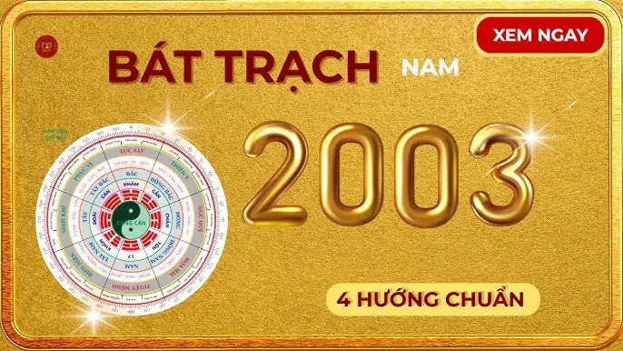 Hướng Nhà Tuổi Quý Mùi 2003: Chọn Cát Vượng, Tránh Hung Tai 1 Hướng nhà tuổi quý mùi - Xác định mệnh và cung Bát Trạch tuổi Quý Mùi 2003