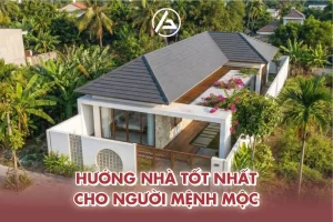 Mệnh bình địa mộc hợp hướng nhà nào - Bình Địa Mộc hợp hướng nhà nào nhất?
