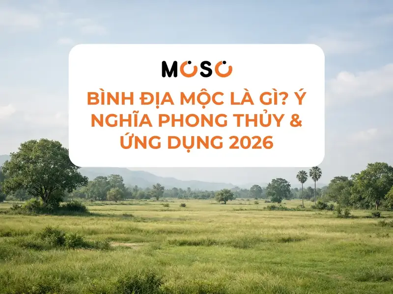 Mệnh bình địa mộc hợp hướng nhà nào - Ý nghĩa các hướng nhà cho người Bình Địa Mộc