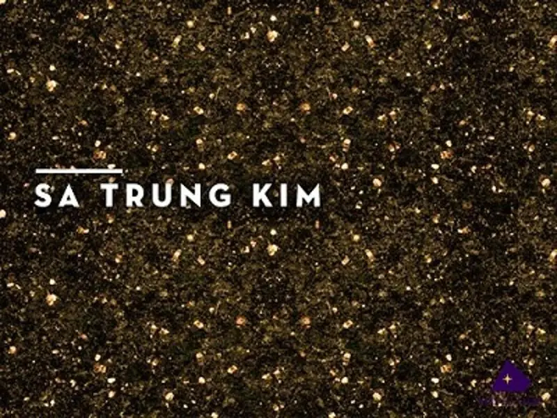 Mệnh Sa Trung Kim Hợp Hướng Nhà Nào Nhất 2026? 2 Mệnh sa trung kim hợp hướng nhà nào - Ý Nghĩa Các Hướng Nhà Hợp Mệnh Sa Trung Kim