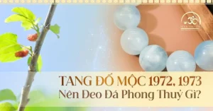 Mệnh tang đố mộc hợp hướng nhà nào - Mệnh Tang Đố Mộc và ý nghĩa phong thủy