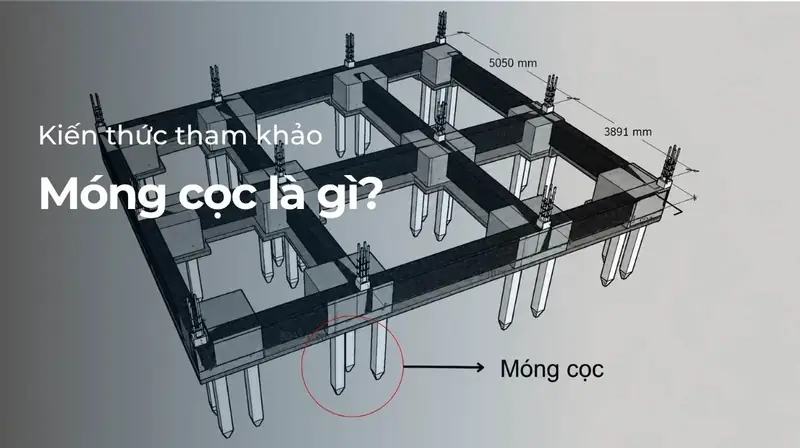 Móng cọc Là Gì? Cấu Tạo, Nguyên Lý và Ứng Dụng Chi Tiết 2026 2 Móng cọc là gì - Cấu tạo Chi tiết và Nguyên lý Kỹ thuật của Móng cọc