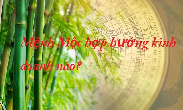 Người Cung Tốn Hợp Hướng Nhà Nào Năm 2026? 1 Người cung tốn hợp hướng nào - Hiểu rõ về Cung Tốn và Hành Mộc