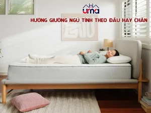 Phòng ngủ hướng tây nam có tốt không - Phòng Ngủ Hướng Tây Nam: Quan Niệm và Ảnh