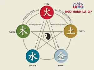 Khái niệm và quy luật ngũ hành trong nhà ở