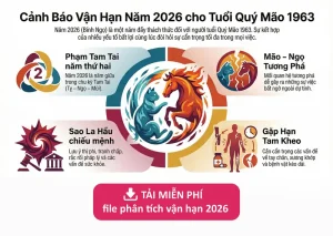 Sinh năm 1963 hợp hướng nhà nào - Xác định cung mệnh tuổi Quý Mão 1963