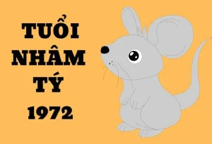 Sinh năm 1972 hợp hướng nhà nào - Xác định cung mệnh tuổi 1972