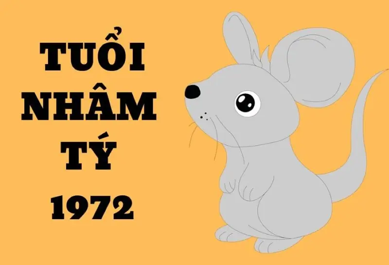 Sinh Năm 1972 Hợp Hướng Nhà Nào Để Gia Đạo An Khang? 1 Sinh năm 1972 hợp hướng nhà nào - Xác định cung mệnh tuổi 1972