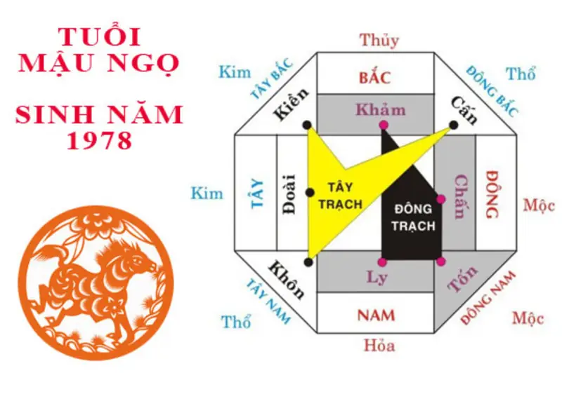Năm 2026: Hướng Nhà Hợp Tuổi Mậu Ngọ 1978 Theo Phong Thủy Bát Trạch 2 Nam Mậu Ngọ 1978 hợp hướng nào? - sinh năm 1978 hợp hướng nhà nào Biểu đồ phong thủy các hướng tốt cho Nam Mậu Ngọ 1978