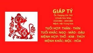Sinh năm 1984 hợp hướng nhà nào - Tổng quan tuổi Giáp Tý 1984 và phong thủy nhà ở