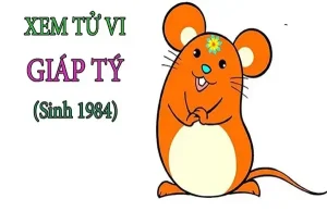 Sinh năm 1984 mệnh gì và tuổi con gì?
