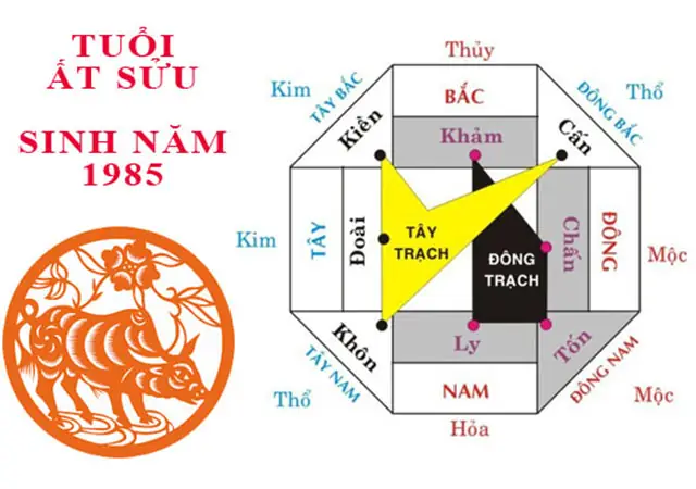 Sinh năm 1985 hợp hướng nhà nào theo phong thủy 2026? 2 Nam 1985 hợp hướng nhà nào? - sinh năm 1985 hợp hướng nhà nào sơ đồ phong thủy nhà ở cho nam sinh năm 1985 tuổi Ất Sửu, thể hiện các hướng tốt và xấu theo Bát Trạch