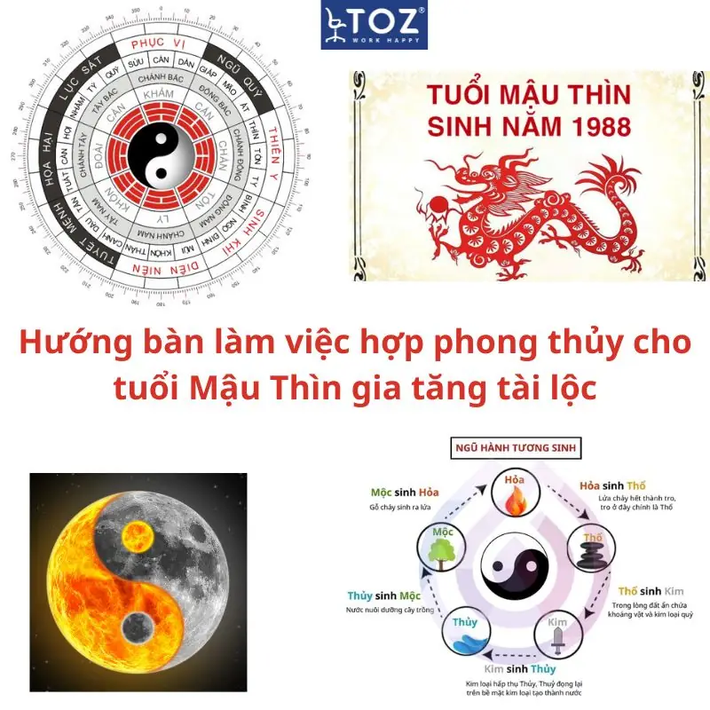 Hướng nhà tốt cho tuổi Mậu Thìn 1988 - sinh năm 1988 hợp hướng nhà nào sơ đồ minh họa các hướng nhà tốt cho tuổi Mậu Thìn 1988 theo phong thủy