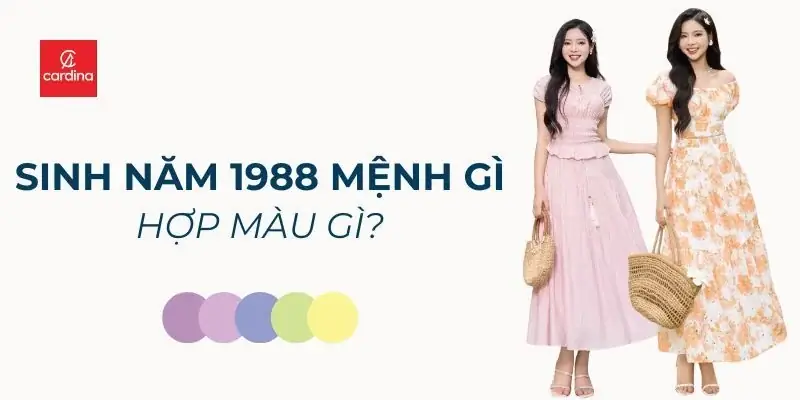Sinh năm 1988 mệnh gì - Sinh năm 1988 Mậu Thìn mệnh gì?