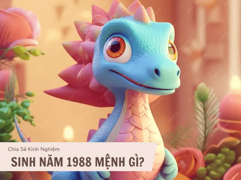 Sinh năm 1988 mệnh gì - Tuổi Mậu Thìn 1988 hợp với tuổi nào?