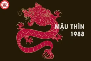 Sinh năm 1988 thuộc cung gì - Sinh năm 1988 - Tuổi Mậu Thìn và Cung Mệnh
