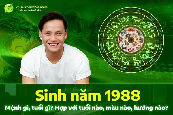 Giải Mã Tuổi Mậu Thìn 1988: Bạn Thuộc Cung Gì, Mệnh Gì? 3 Sinh năm 1988 thuộc cung gì - Bản mệnh Mậu Thìn 1988 và đặc trưng tính cách