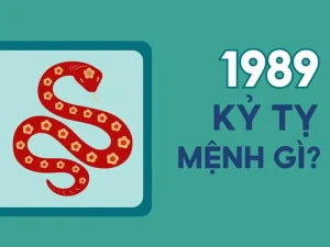 Sinh năm 1989 thuộc cung gì - Sinh năm 1989 là tuổi Kỷ Tỵ, mệnh Đại Lâm Mộc