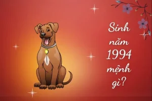 Sinh năm 1994 thuộc cung gì - Giải mã năm sinh 1994: Tuổi Giáp Tuất