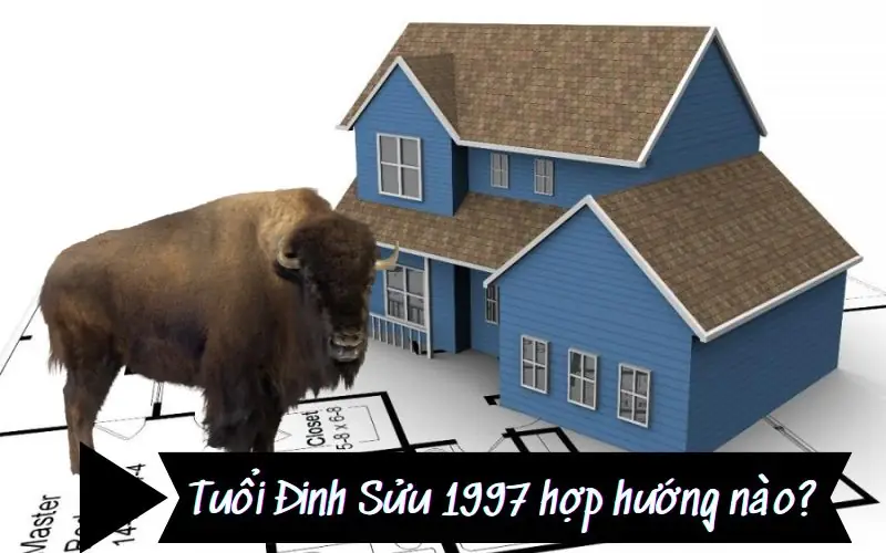 Tuổi Đinh Sửu (1997) Hợp Hướng Nhà Nào Nhất Để Vượng Khí, Tài Lộc? 3 Tuyệt Đối Tránh Hướng Nhà Xấu 1997 - sinh năm 1997 hợp hướng nhà nào sinh năm 1997 hợp hướng nhà nào