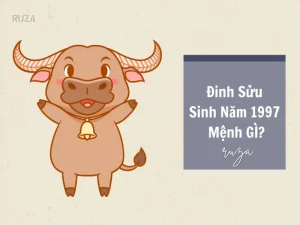 Sinh năm 1997 thuộc cung gì - Sinh năm 1997 là tuổi Đinh Sửu, mệnh gì, cung gì?