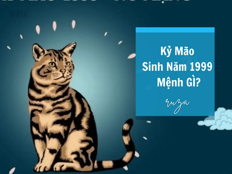 Sinh năm 1999 mệnh gì - Tuổi Kỷ Mão 1999: Mệnh gì, tính cách nổi bật