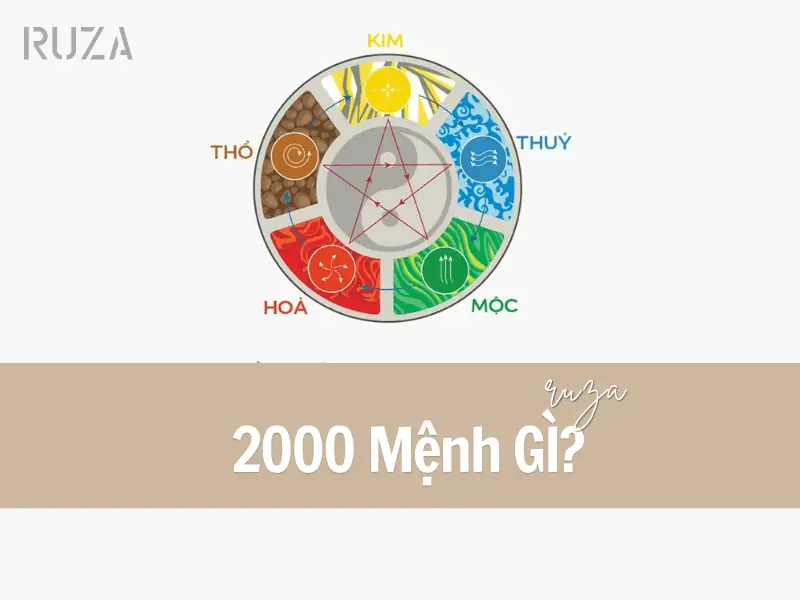 Sinh năm 2000 thuộc cung gì - Khám Phá Cung Mệnh Theo Giới Tính