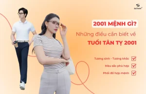 Sinh năm 2001 mệnh gì - Tuổi Tân Tỵ 2001: Mệnh gì?