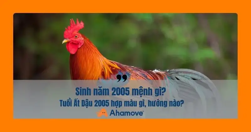 Sinh năm 2005 mệnh gì? Giải mã Tuyền Trung Thủy