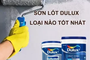 Sơn Lót Là Gì? Định Nghĩa & Vai Trò Cốt Lõi