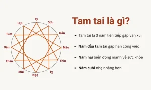 Tam tai là gì cách tính - Tam Tai Là Gì? Nguồn Gốc Và Ý Nghĩa